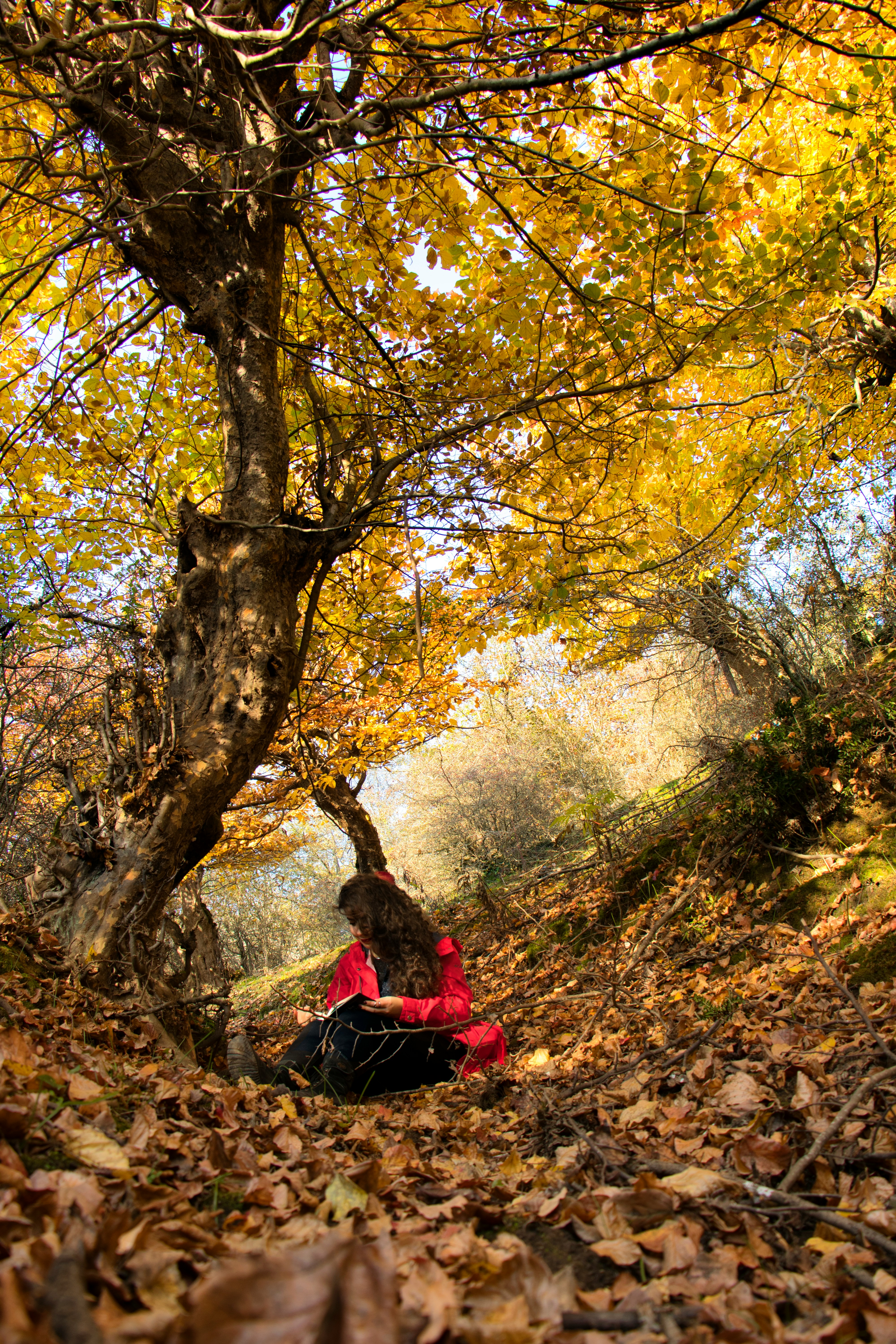 最新精选Vlog封面