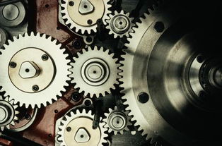 dddd992233b最新网站62nnn47aaacom