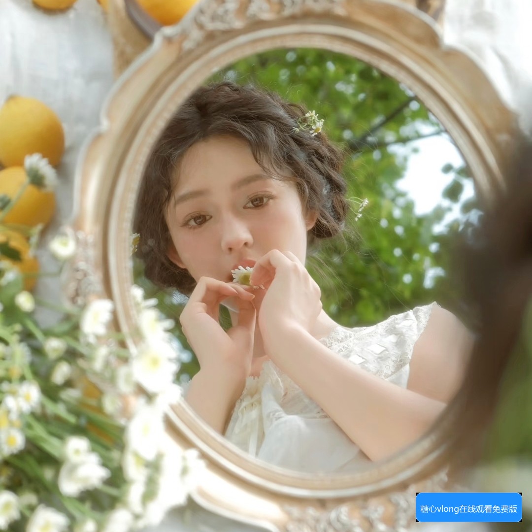 蘑菇TV网页版加载慢怎么办？三秒卡顿的问题如何解决