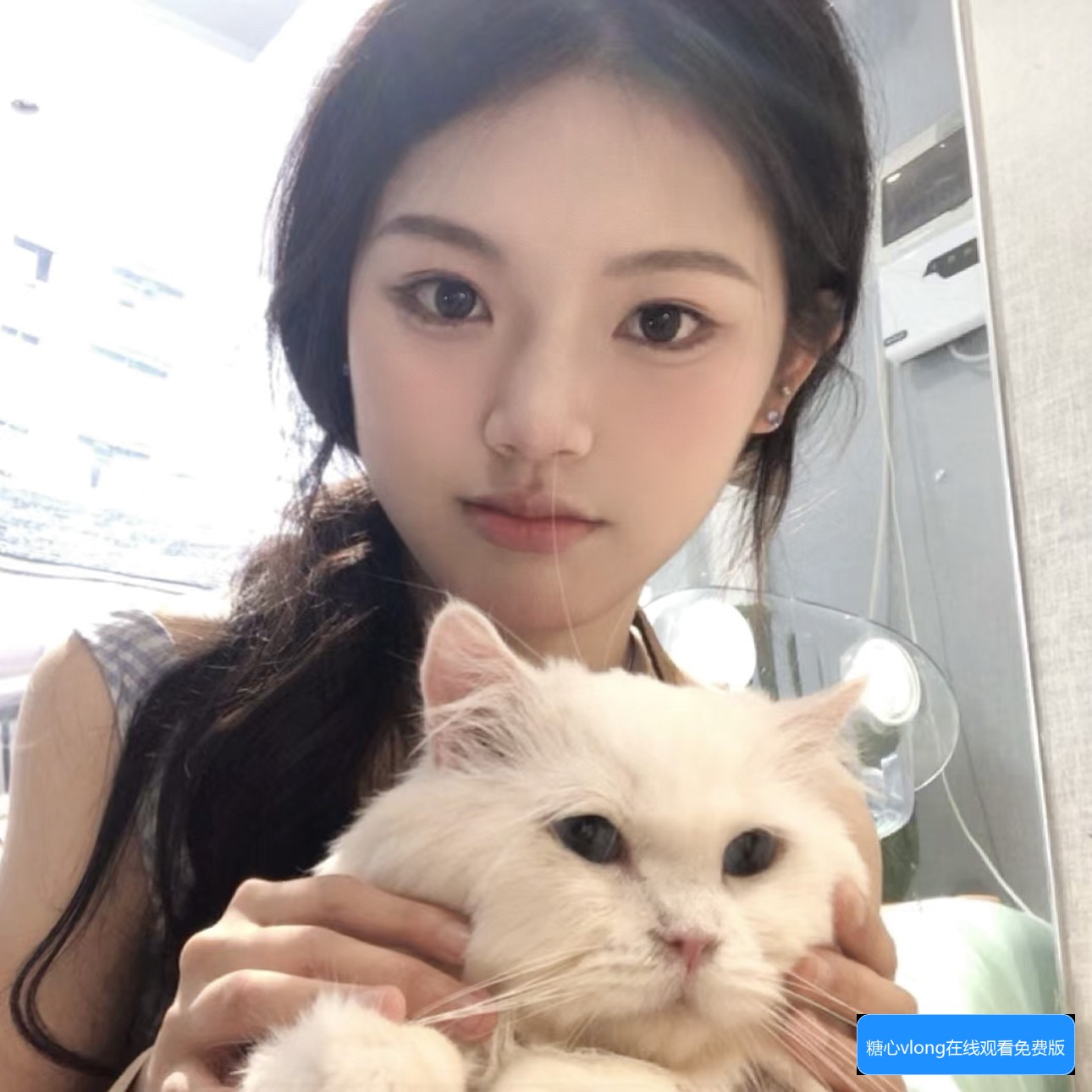 蘑菇TV网页版登录入口及使用指南有哪些步骤和注意事项