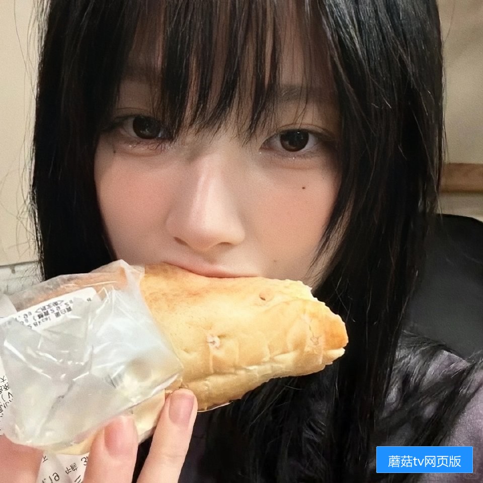 蘑菇TV网页版如何登录以及常见问题解答