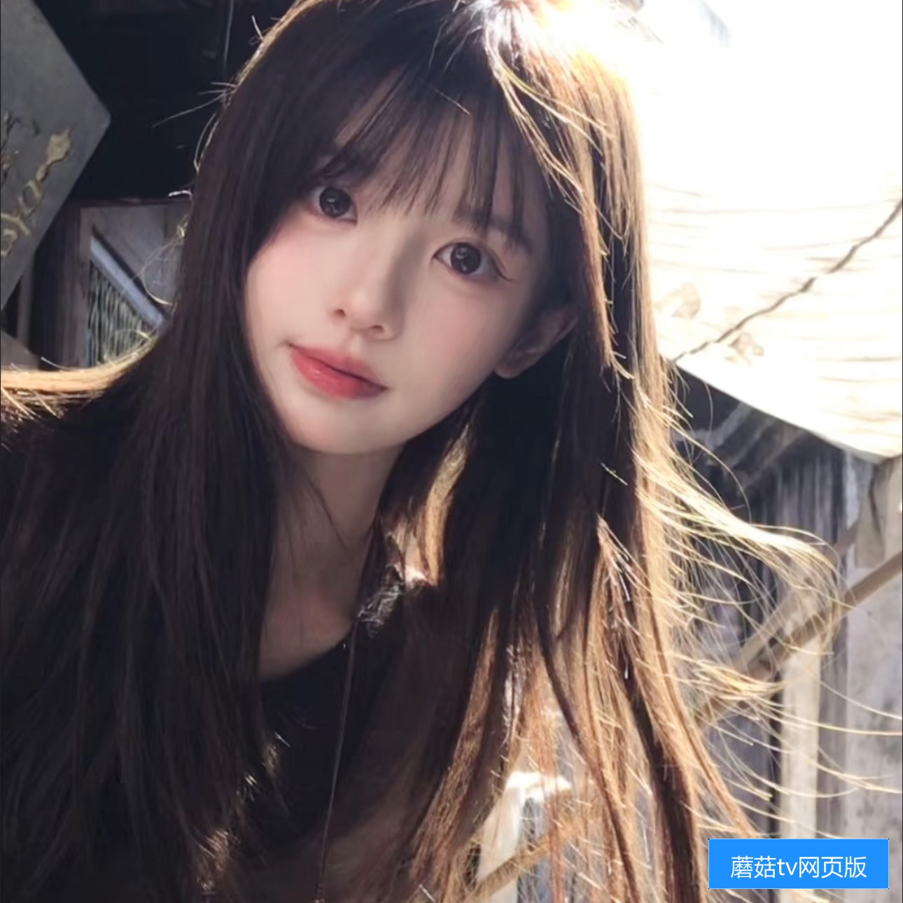 蘑菇TV网页版加载缓慢或三秒卡顿的原因及解决方法