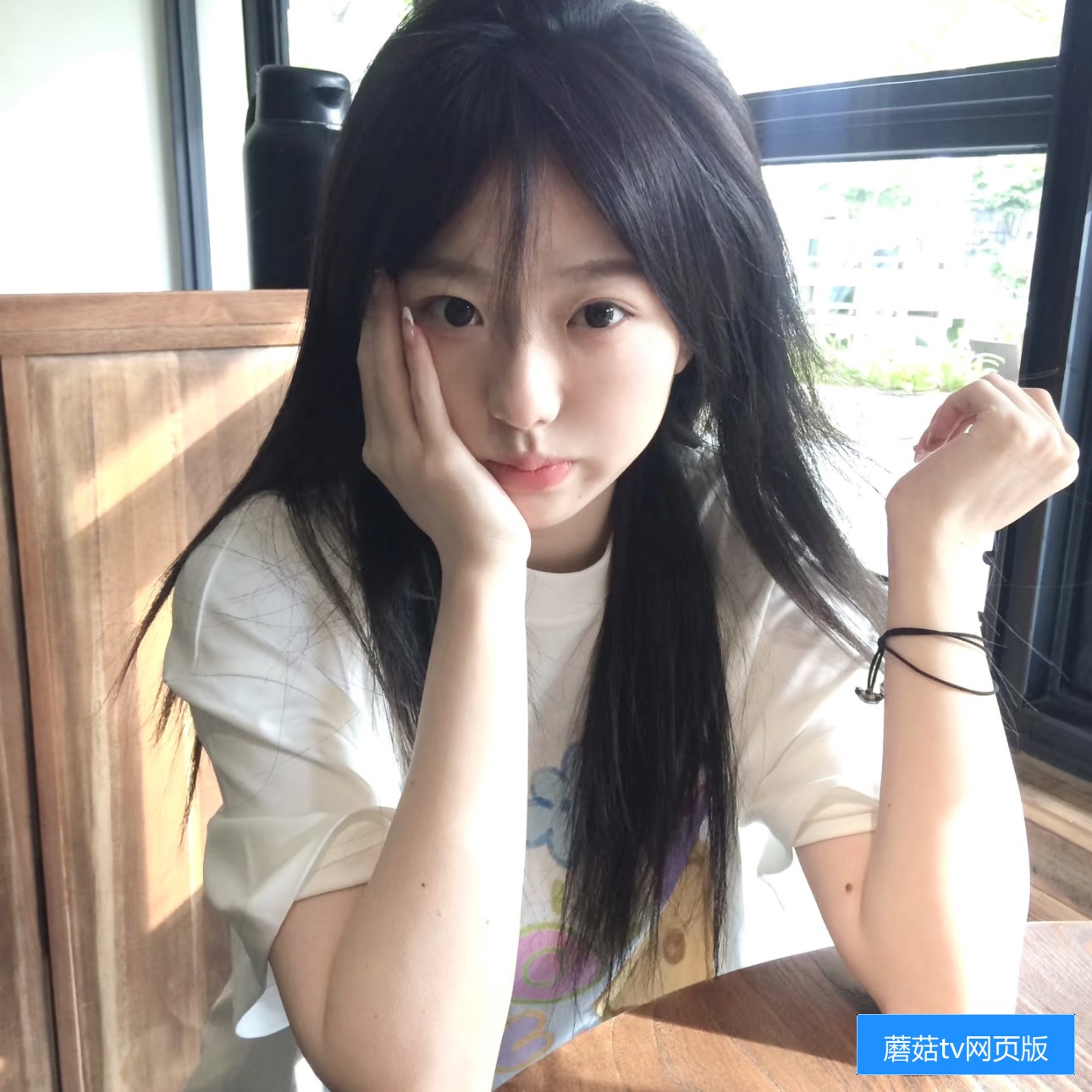 蘑菇TV官网首页示意图